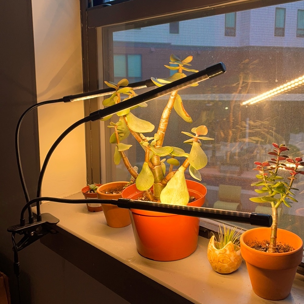 Plant Growth Light